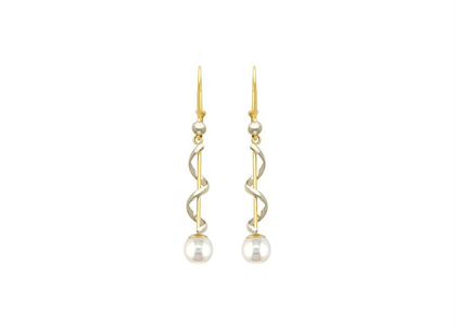 2 Tone Plated | Fashion Earrings